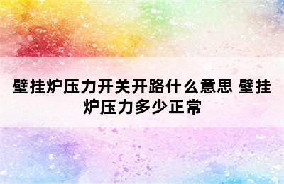 壁挂炉压力开关开路什么意思 壁挂炉压力多少正常